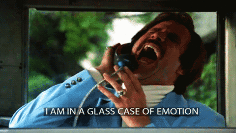 giphy-facebook_s_jpg